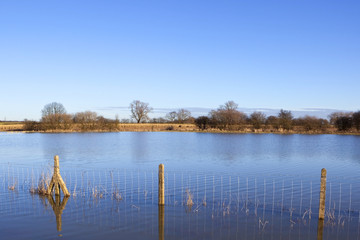 flooded fields