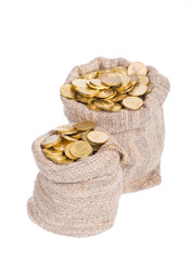 Bags filled with coins.