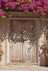 Old wooden door with blooming foliage