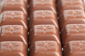 Milk chocolate pralines