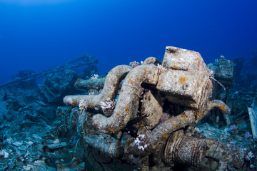 Fototapeta na wymiar Engine on an underwater wreck