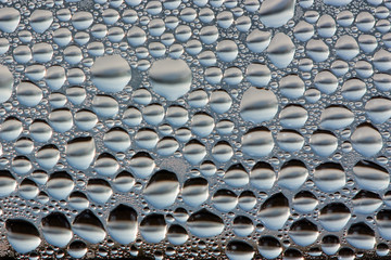 Fototapeta premium wasserperlen
