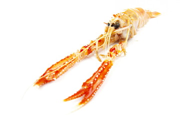 Langoustines