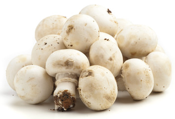 mushroom pile