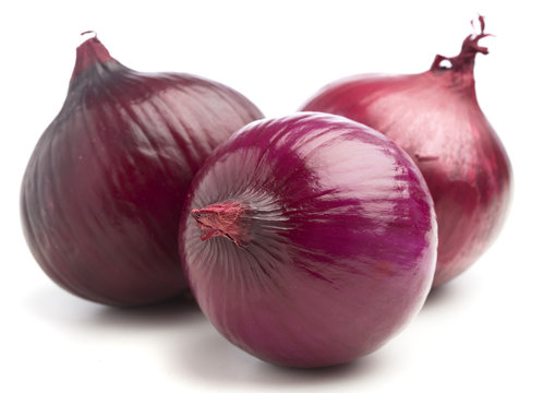 purple onion