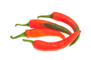 Chili Peppers Arranged On A White Background