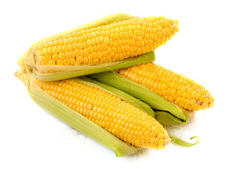Corn isolated on white