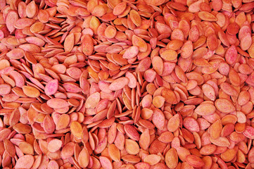 Red Melon Seeds