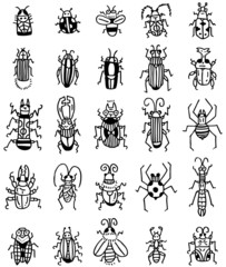 hand draw insect  icon