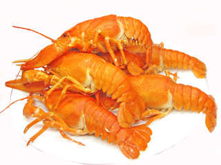 boiled red lobster heap