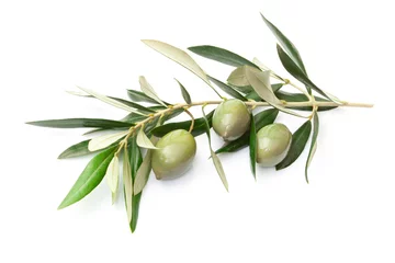 Stoff pro Meter Zweig mit Oliven © Antonio Gravante