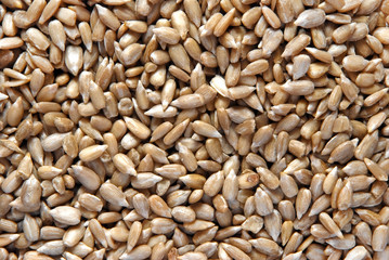 sunflower seeds
