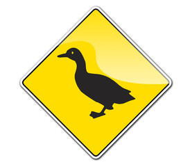 Pegatina pato