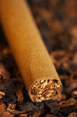 Cigar and tobacco