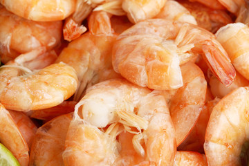 shrimp background