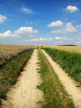 der Weg