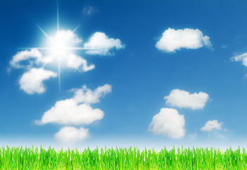 Fototapeta na wymiar grass and cloudy, sunny sky