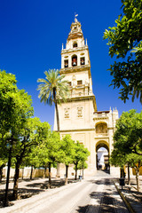 Minaret tower of Great Mosque-Patio de los Naranjos, Cordoba