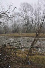 plastic pollution on adda river bank