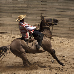 Chilean rodeo