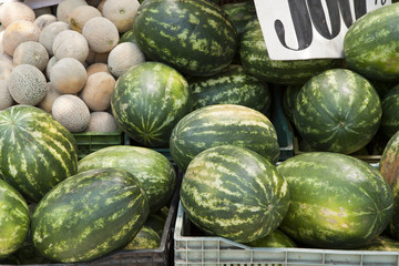 Water melons
