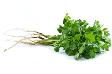Coriander isolated on white background