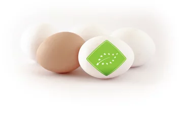 Fotobehang Eieren bio eier, eu biosiegel  © ferkelraggae