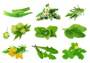 Medicative herbs