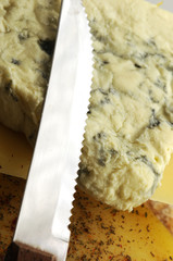 Gorgonzola cheese
