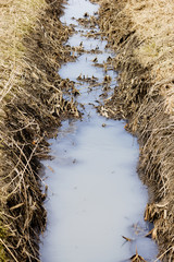 Sewage drainage system