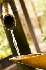 Bambus und Wasser
