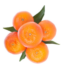 Oranges