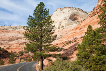 Zion Canyon Landscape