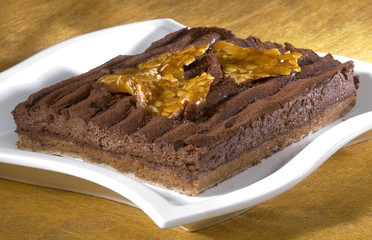 gato chocolat 1
