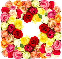 colorful flowers frame, roses