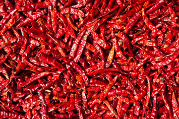 Red chili in the sun,Thailand