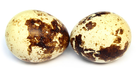 Two quails eggs