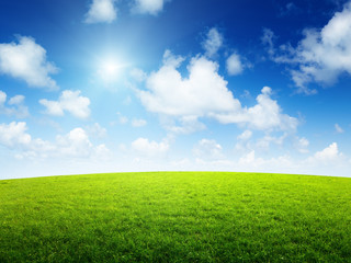 Obraz na płótnie Canvas green field and sunny day