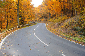 Fototapeta premium Straße durch herbstlichen Wald
