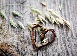 Foto auf Acrylglas Oat seeds © Kati Finell