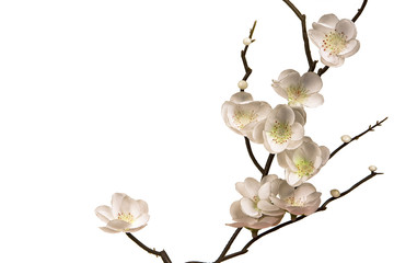 Fototapeta premium Flor 2