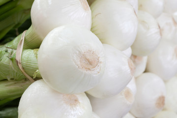 Sweet White Onion