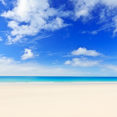 Fototapeta premium Tropical beach