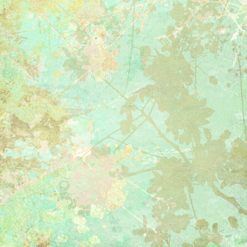 Fototapeta Flower Silhouette Background