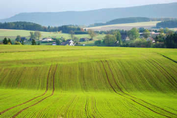 Fototapeta na wymiar Agricultural view on fields and village