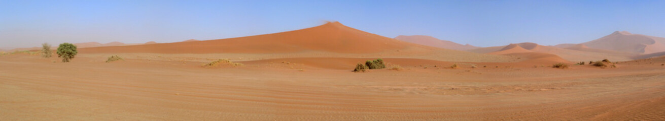 Fototapeta na wymiar Dunes de Sossusvlei