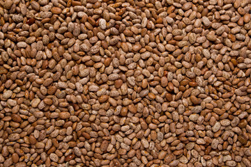 Pinto Beans