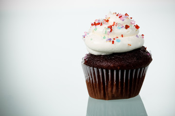Cupcake with Frosting and Sprinkles