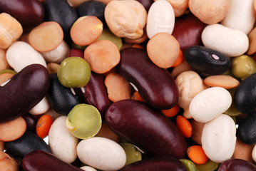 Background from the various bean