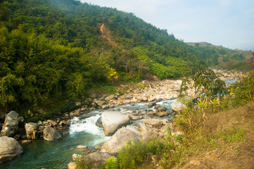 Wilderness stream